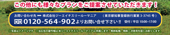 この他にも様々なプランをご提案させて頂きます！